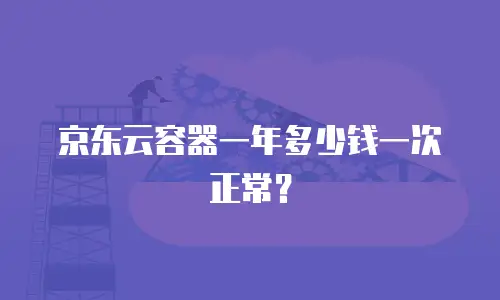 京东云容器一年多少钱一次正常？