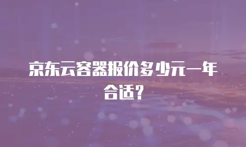 京东云容器报价多少元一年合适？