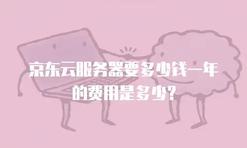 京东云服务器要多少钱一年的费用是多少？
