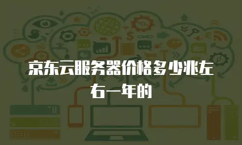京东云服务器价格多少兆左右一年的