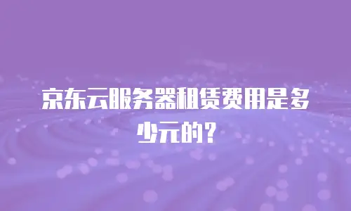 京东云服务器租赁费用是多少元的？