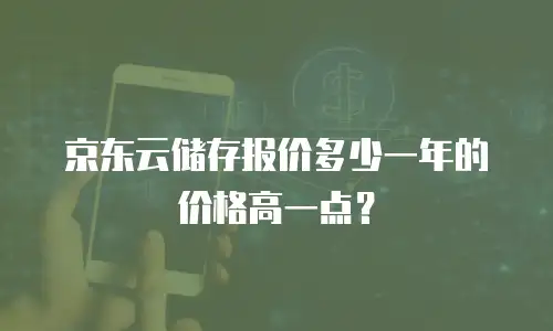京东云储存报价多少一年的价格高一点？