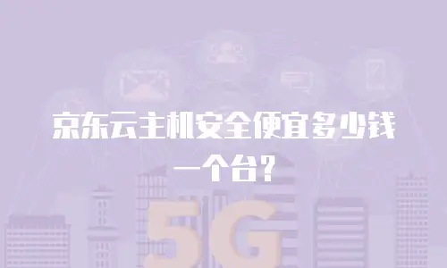 京东云主机安全便宜多少钱一个台？