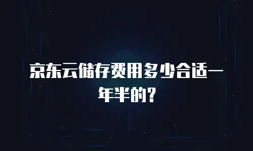 京东云储存费用多少合适一年半的？