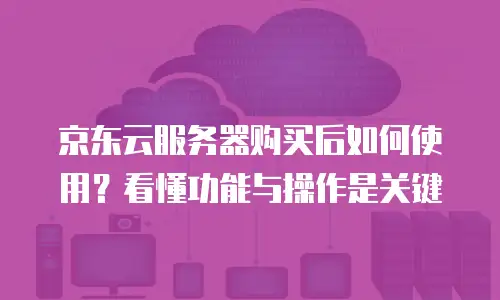 京东云容器续费多少钱一年