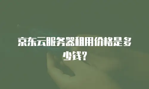京东云弹性网卡租赁多少钱一张合适：企业云服务成本优化指南
