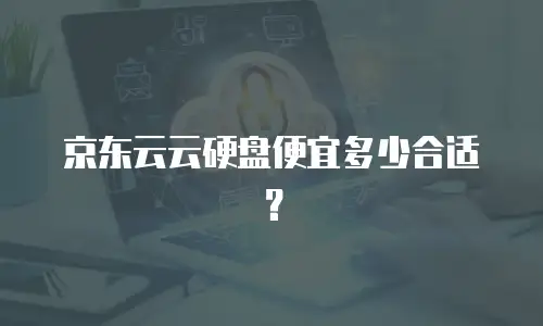 京东云云硬盘便宜多少合适？