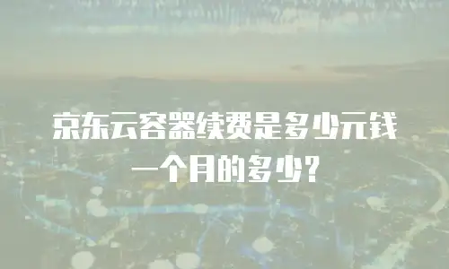 京东云容器续费是多少元钱一个月的多少？