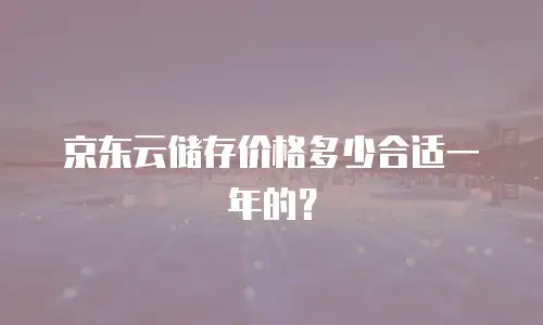 京东云储存价格多少合适一年的？