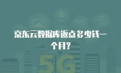 京东云数据库返点多少钱一个月？