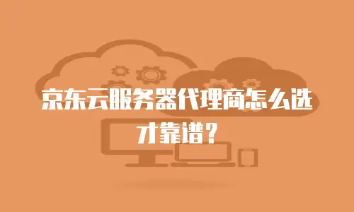 京东云公网IP政策分析