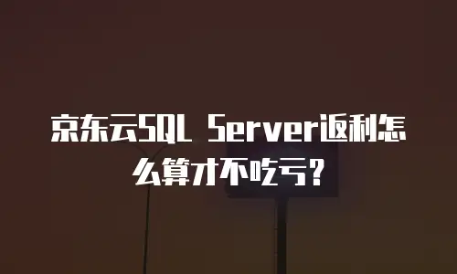 京东云公网IP返点解析：如何通过代理商优化云资源成本