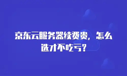 京东云云硬盘扩容：高效扩容策略与操作指南