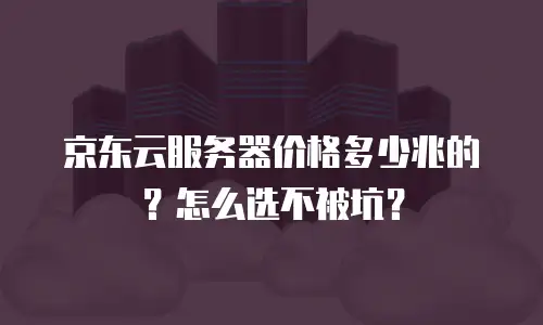 京东云容器报价多少钱一台：深度解析与市场对比
