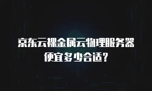 京东云云硬盘代理商：如何选择可靠合作伙伴助力企业数字化转型