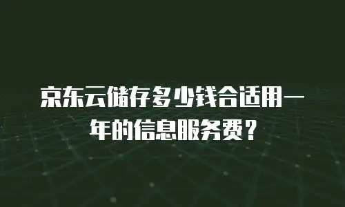 京东云数据分析一年多少钱：全面解析与实用建议