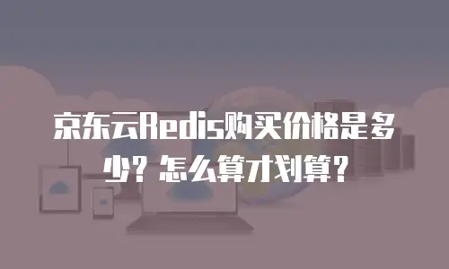 京东云弹性网卡多少钱？全面解析价格构成与选购策略