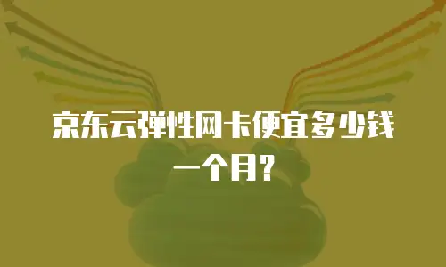 京东云云硬盘租用：高效存储解决方案的全面解析