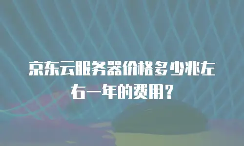京东云服务器价格多少兆左右一年的费用？
