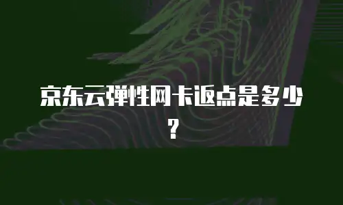 京东云弹性网卡返点是多少？