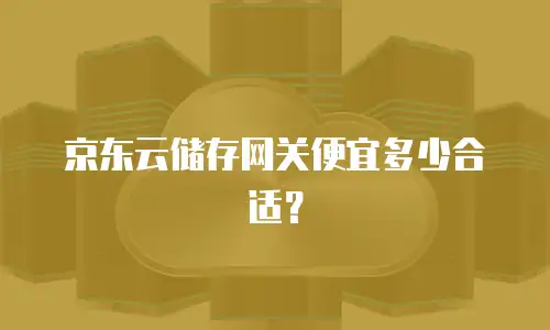 京东云储存网关便宜多少合适？