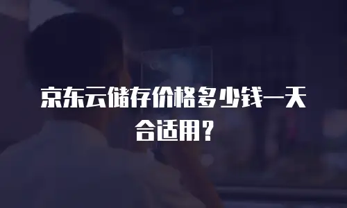 京东云储存价格多少钱一天合适用？